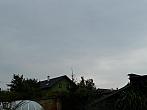 Třibřichy